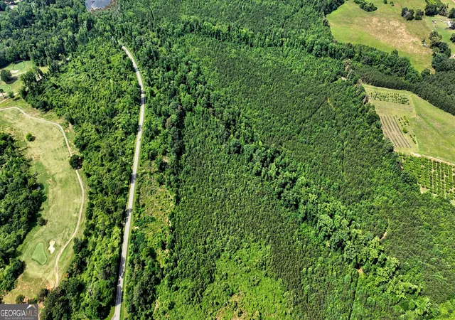 Photo 2 of Land for sale at 222 N Pine Hl Rd, Griffin, GA 30224 | MLS# 10779024 | Listing updated on 2026-06-18