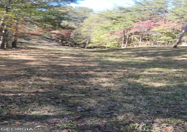 28th image of 0 Rizzitello Ln, Blairsville, GA 30512 | MLS# 10404451