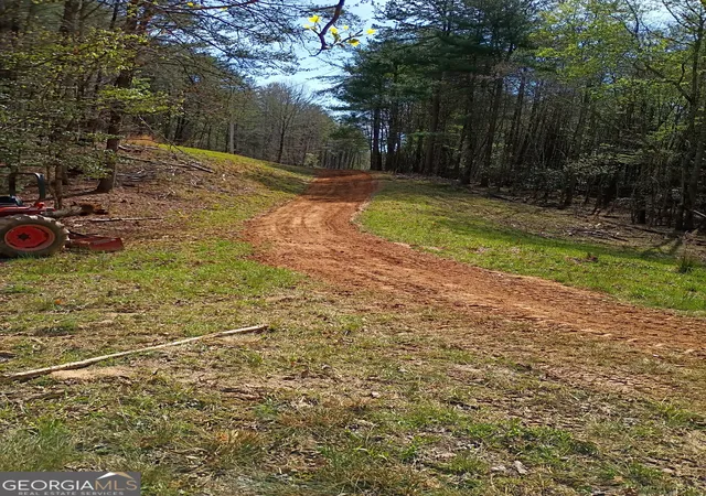 4th image of 0 Rizzitello Ln, Blairsville, GA 30512 | MLS# 10404451