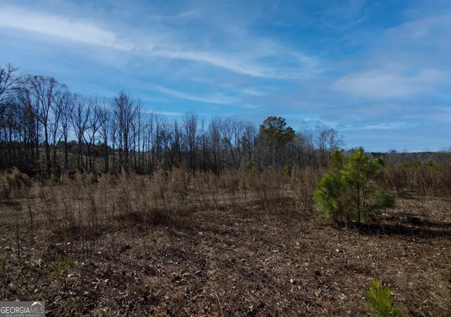 Homes for sale in Shiloh, GA | Tract 6   0 Chestnut Grove Rd, Shiloh, GA 31826 | MLS# 10759858