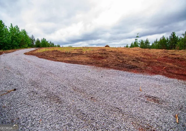 25th image of Tract 6   0 Chestnut Grove Rd, Shiloh, GA 31826 | MLS# 10759858