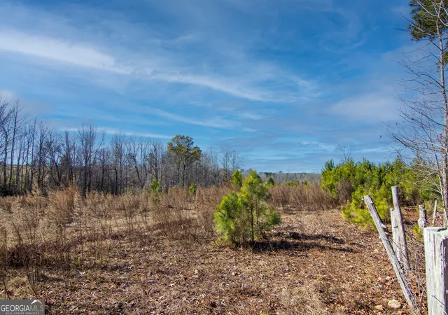 Homes for sale in Shiloh, GA | Tract 6   0 Chestnut Grove Rd, Shiloh, GA 31826 | MLS# 10759858