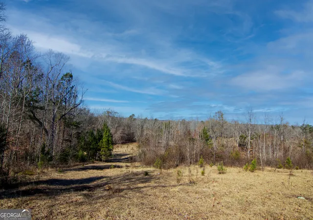 Homes for sale in Shiloh, GA | Tract 6 - 0 Chestnut Grove Rd, Shiloh, GA 31826 | MLS# 10759858