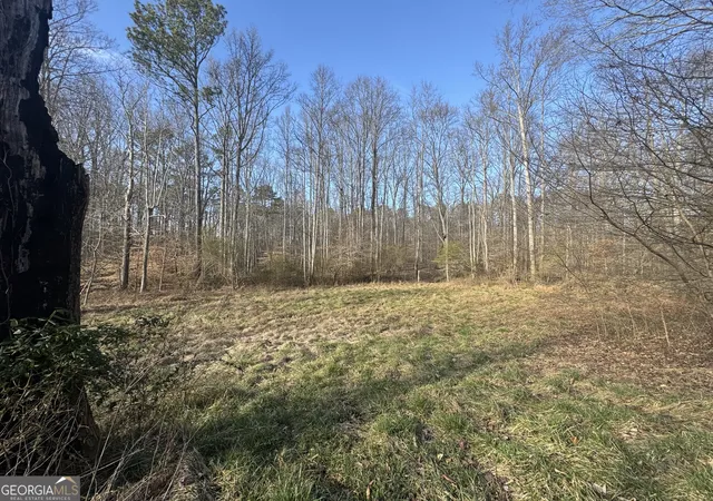 1st image of 369 Thompson Ln, Jasper, GA 30143 | MLS# 10700490