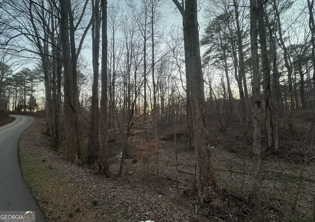 2nd image of 369 Thompson Ln, Jasper, GA 30143 | MLS# 10700490