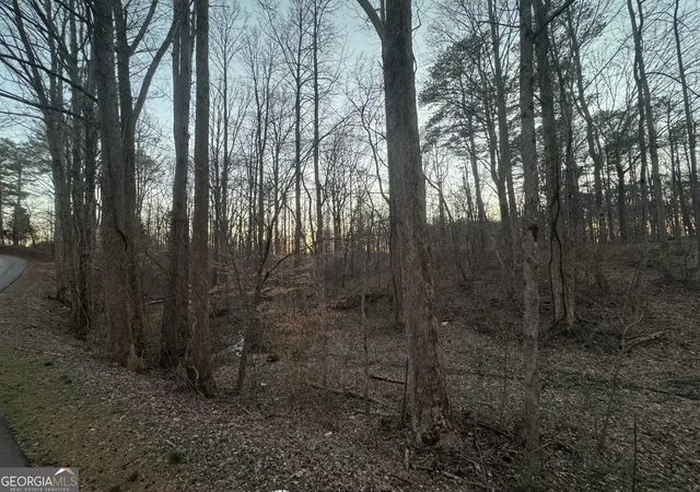 Photo 3 of Land for sale at 369 Thompson Ln, Jasper, GA 30143 | MLS# 10700490 | Listing updated on 2026-03-14