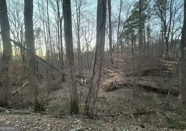 4th image of 369 Thompson Ln, Jasper, GA 30143 | MLS# 10700490