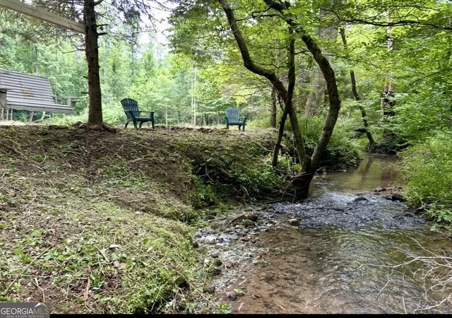 1st image of 10042 Doublehead Gap Rd, Blue Ridge, GA 30513 | MLS# 10831958