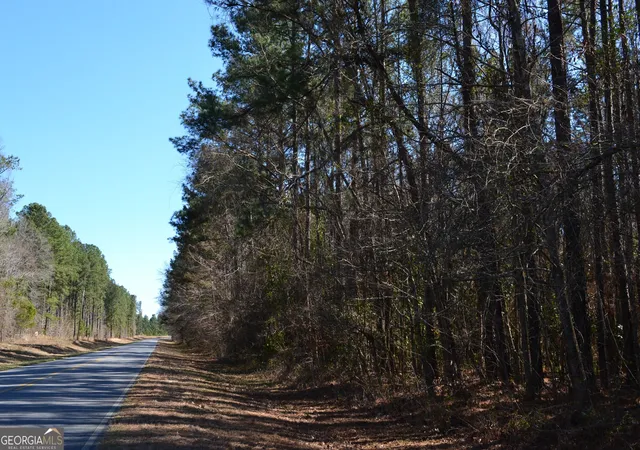 Photo 1 of Land for sale at 0 Mark Wood Road, Dexter, GA 31019 | MLS# 10822455 | Listing updated on 2026-08-24