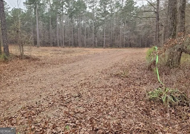 Photo 3 of Land for sale at 0 Mark Wood Road, Dexter, GA 31019 | MLS# 10822455 | Listing updated on 2026-08-24
