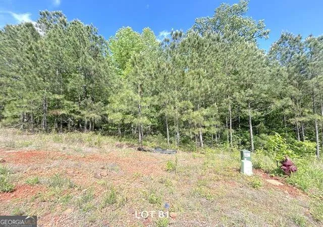 Photo 3 of Land for sale at 154 Oakdale Way, Temple, GA 30179 | MLS# 10815684 | Listing updated on 2026-09-17