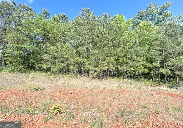 Photo 3 of Land for sale at 154 Oakdale Way, Temple, GA 30179 | MLS# 10815684 | Listing updated on 2026-09-17