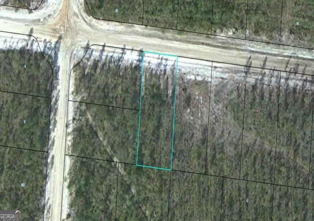 Land for sale at Lot 12 Satilla Plantation, Waynesville, GA 31566 | MLS# 10829580