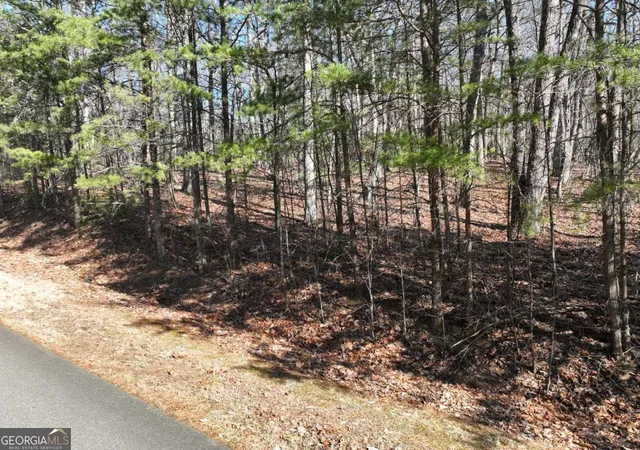 Photo 1 of Land for sale at 57 St Andrews Way, Ellijay, GA 30536 | MLS# 10787165 | Listing updated on 2026-10-29