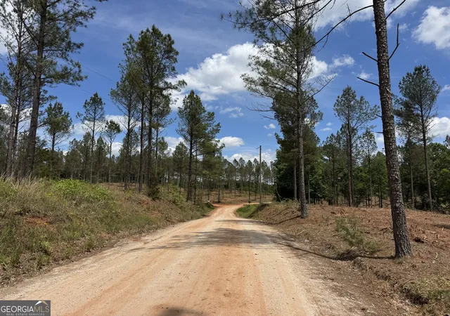 18th image of 0 Cromer Rd, Dewy Rose, GA 30634 | MLS# 10813366