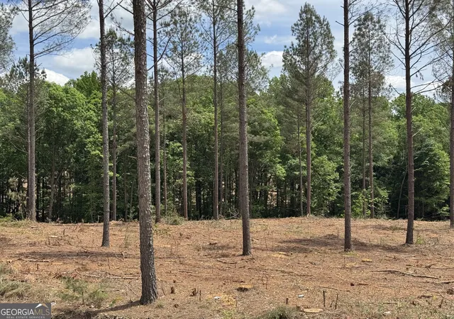 1st image of 0 Cromer Rd, Dewy Rose, GA 30634 | MLS# 10813366