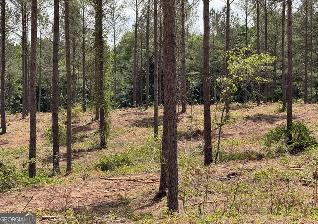 image of 0 Cromer Rd, Dewy Rose, GA 30634 | MLS# 10813366