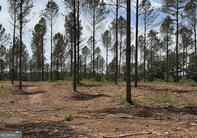 image of 0 Cromer Rd, Dewy Rose, GA 30634 | MLS# 10813366