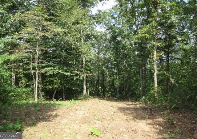 1st image of 101 Winding Road   Lot 6 #LOT 6, Bowdon, GA 30108 | MLS# 10495924