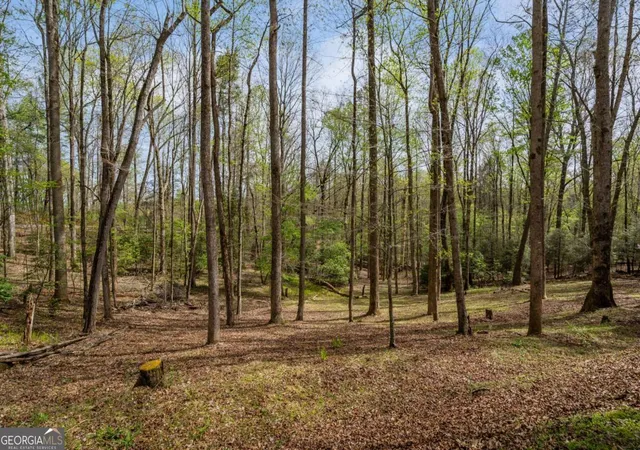 Photo 3 of Single family home for sale at 159 Pack Crk Rd, Blue Ridge, GA 30513 | MLS# 10729468 | Listing updated on 2026-09-17
