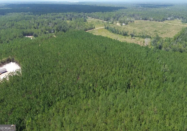 3rd image of Tract 5 Penny Morris Rd, Baxley, GA 31513 | MLS# 10828489