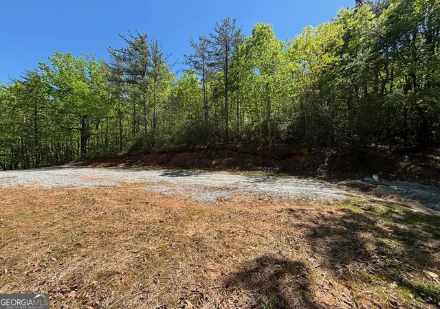 Homes for sale in Cleveland, GA | 174 Forbes Dr, Cleveland, GA 30528 | MLS# 10735745