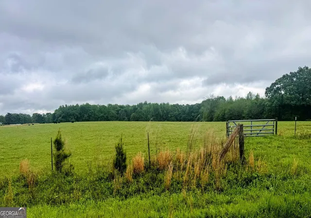 Homes for sale in Zebulon, GA | 4804 Acres Caldwell Rd, Zebulon, GA 30295 | MLS# 10765830
