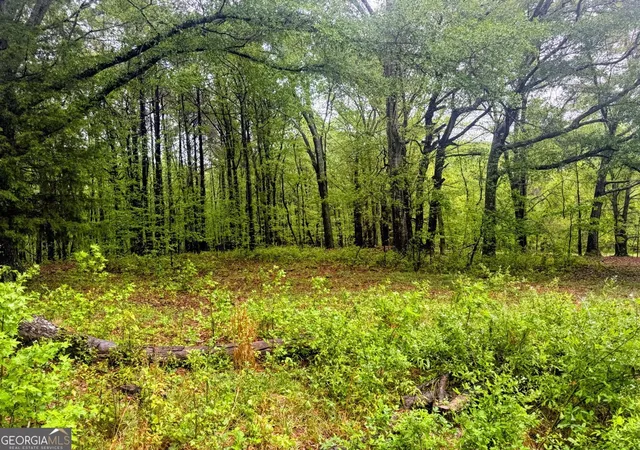 Homes for sale in Zebulon, GA | 4804 Acres Caldwell Rd, Zebulon, GA 30295 | MLS# 10765830