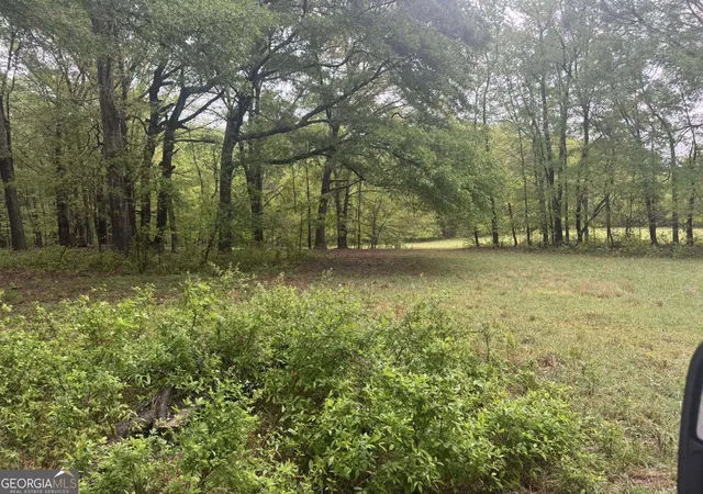 Photo 4 of Sale Pending at 4804 Acres Caldwell Rd, Zebulon, GA 30295 | MLS# 10765830 | Listing updated on 2026-10-26