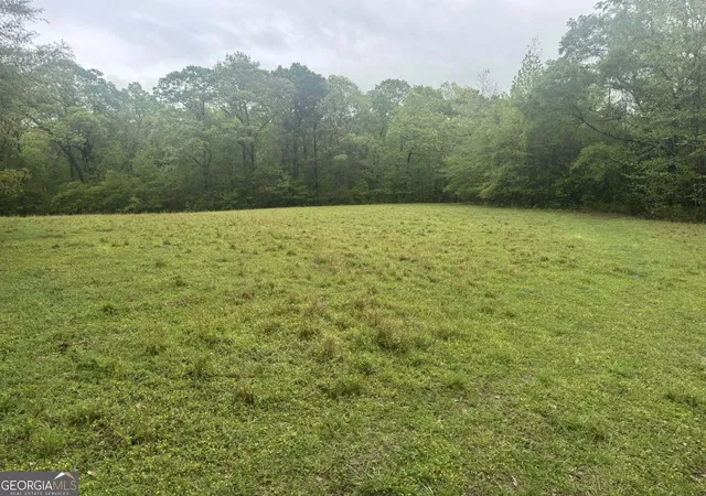 Homes for sale in Zebulon, GA | 4804 Acres Caldwell Rd, Zebulon, GA 30295 | MLS# 10765830