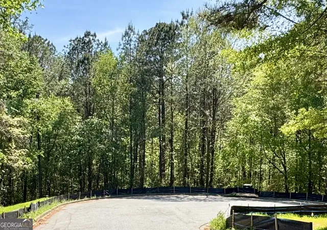 1st image of 145 Constitution Pointe, Dallas, GA 30132 | MLS# 10736265