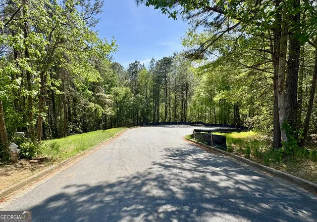 2nd image of 145 Constitution Pointe, Dallas, GA 30132 | MLS# 10736265