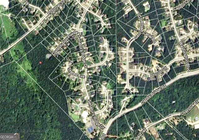 4th image of 145 Constitution Pointe, Dallas, GA 30132 | MLS# 10736265