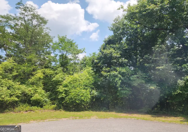 Homes for sale in Clarkesville, GA | Lot #14 Little Eagle Mtn Mtn, Clarkesville, GA 30523 | MLS# 10778118