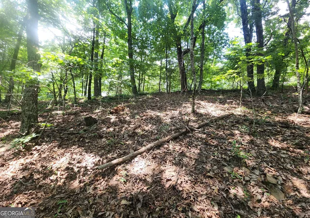 Homes for sale in Clarkesville, GA | Lot #14 Little Eagle Mtn Mtn, Clarkesville, GA 30523 | MLS# 10778118
