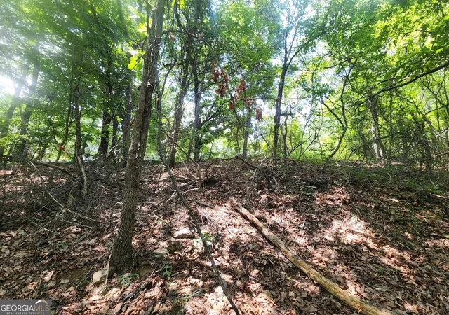 Homes for sale in Clarkesville, GA | Lot #14 Little Eagle Mtn Mtn, Clarkesville, GA 30523 | MLS# 10778118