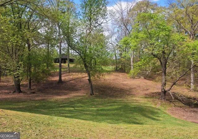 4th image of 112 Brannon Rd, Buchanan, GA 30113 | MLS# 10729096
