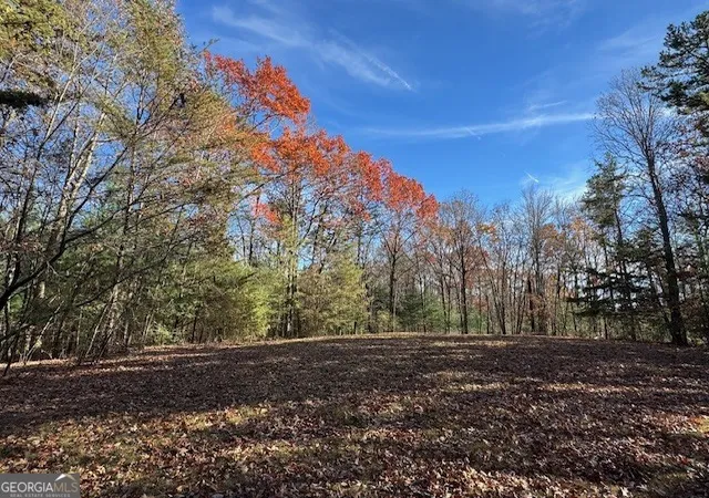 1st image of 0 John Call Rd, Ellijay, GA 30536 | MLS# 10651082