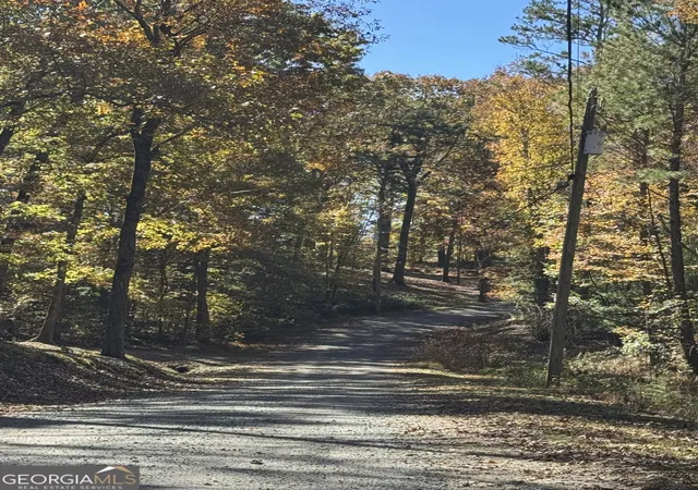 Photo 3 of Land for sale at 0 John Call Rd, Ellijay, GA 30536 | MLS# 10651082 | Listing updated on 2026-08-23