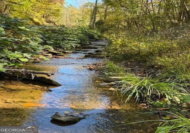 Photo 4 of Land for sale at 0 John Call Rd, Ellijay, GA 30536 | MLS# 10651082 | Listing updated on 2026-08-23