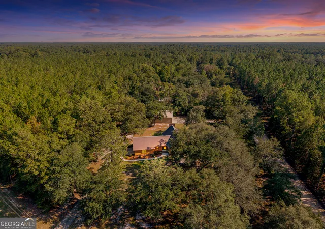 Photo 47 of Single family home for sale at 1021 Ig Lanier Rd, Pembroke, GA 31321 | MLS# 10834189 | Listing updated on 2026-09-28