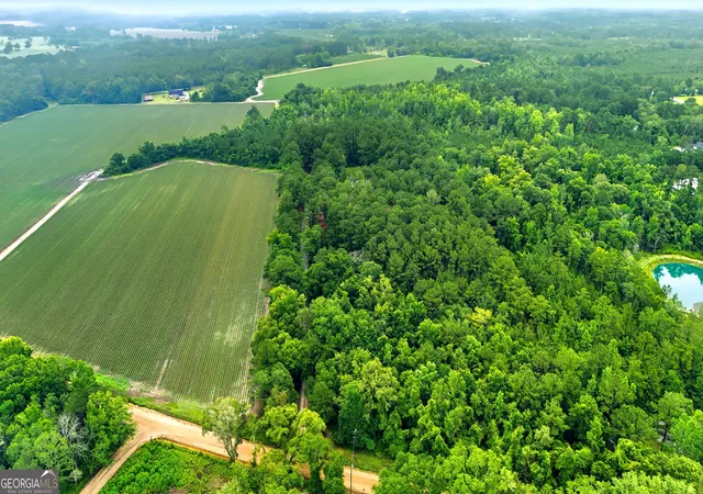 43rd image of 8740 Coffee Rd, Hahira, GA 31632 | MLS# 10792022