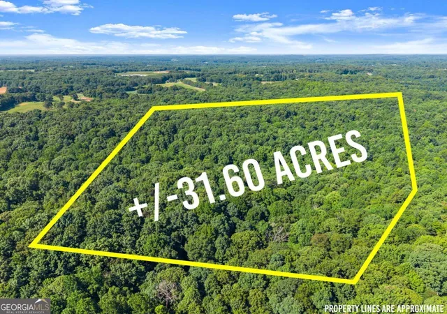 1st image of 0 Prospect Rd, Carnesville, GA 30521 | MLS# 10810532