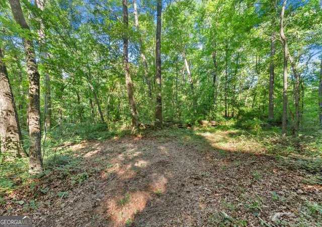 2nd image of 0 Prospect Rd, Carnesville, GA 30521 | MLS# 10810532
