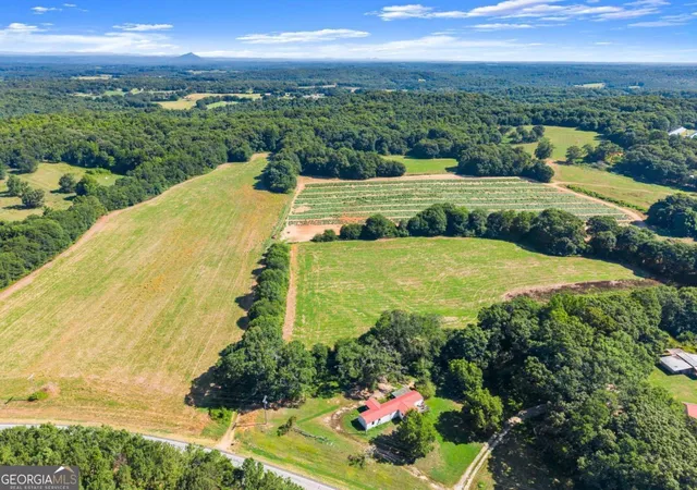 38th image of 0 Prospect Rd, Carnesville, GA 30521 | MLS# 10810532