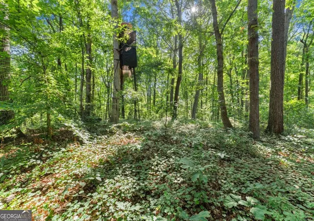 Photo 3 of Land for sale at 0 Prospect Rd, Carnesville, GA 30521 | MLS# 10810532 | Listing updated on 2026-08-05