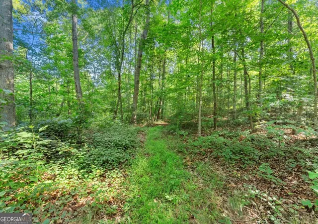 Photo 4 of House for sale at 0 Prospect Rd, Carnesville, GA 30521 | MLS# 10810532 | Listing updated on 2026-08-05