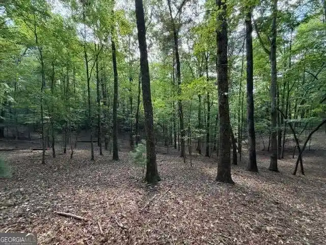Photo 1 of Land for sale at 556 Satsuma Ct S, Ellijay, GA 30540 | MLS# 10867143 | Listing updated on 2026-10-19