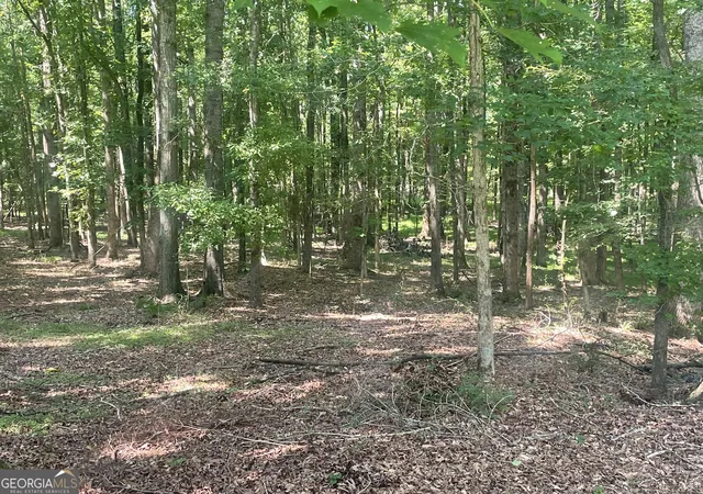 22nd image of 1371 Crawford Rd, Madison, GA 30650 | MLS# 10816394