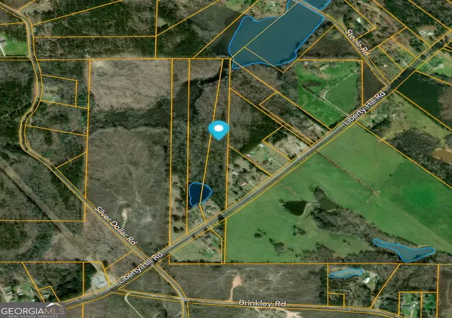 Homes for sale in Milner, GA | 478 Liberty Hill Rd, Milner, GA 30257 | MLS# 10797575